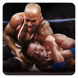 Real Wrestling 3D Icon