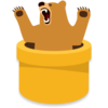 TunnelBear VPN Icon