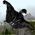 Wingsuit - Proximity Project Icon