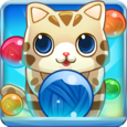 Bubble Cat Icon