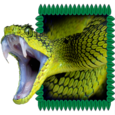Exotic Snake Icon