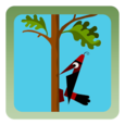 Woodpecker Backyard Woodcutter Icon