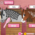 Horse Care - Mane Braiding Icon