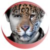 Animal Faces - Face Morphing Icon