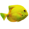Flappy Fish Icon