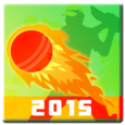 World Cup Cricket - 2015 Icon