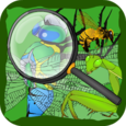 Find Hidden Stuff Game: Insect Icon