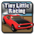 Tiny Little Racing Icon