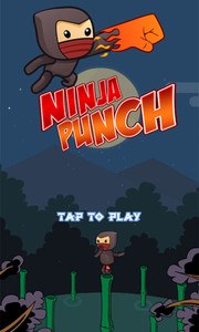 Ninja Punch