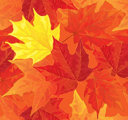 Maple Leaves Art