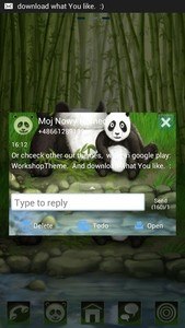 GO SMS Pro Theme Panda
