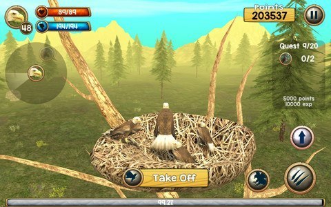 Wild Eagle Sim 3D