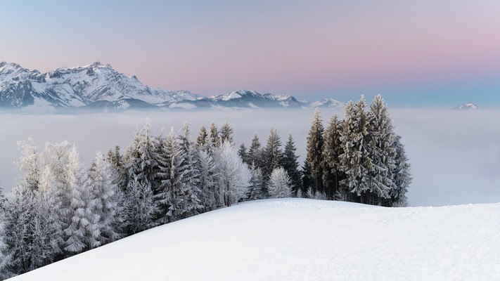 Winter Above The Fog