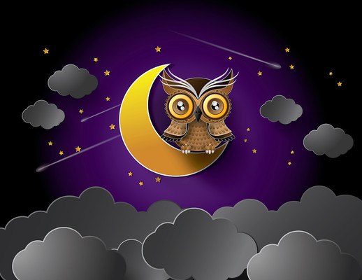 Owl And Moon Digital Art