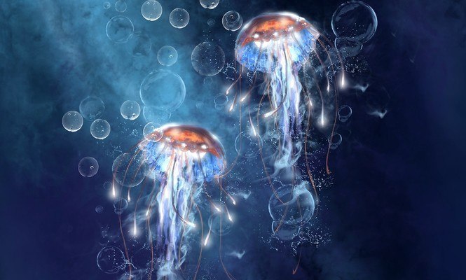 Glowing Jellyfish