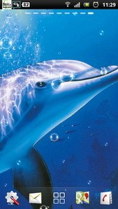 free dolphin live wallpaper