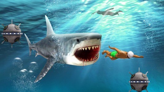 Shark Shark Run