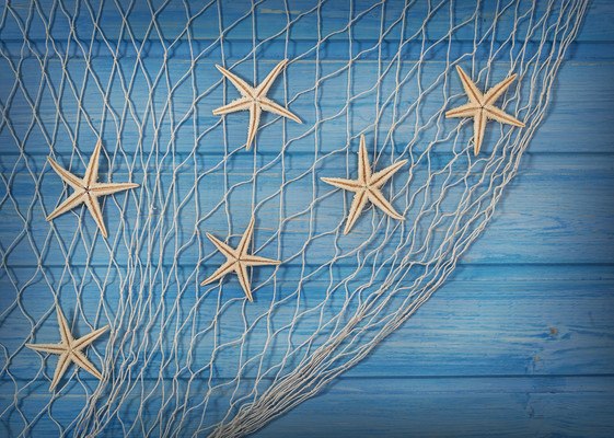 Starfish In Netting