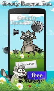 Raccoon Greedy Run