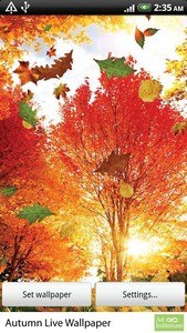 Autumn Live Wallpaper