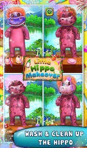 Little Hippo Makeover