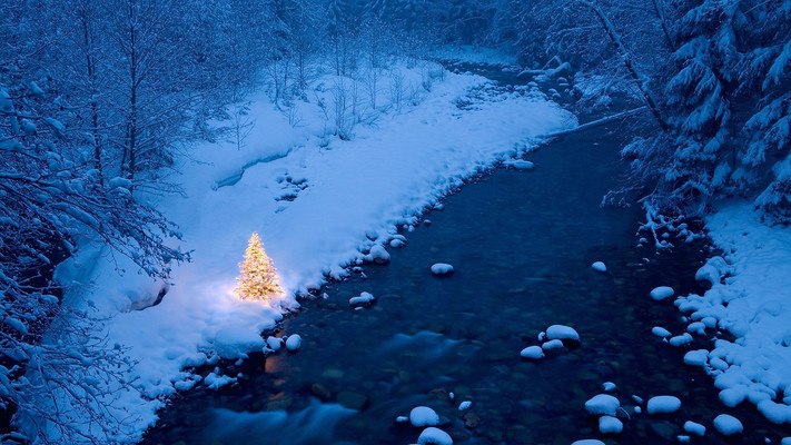 Christmas Tree By The River