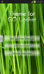 Theme for GO Locker