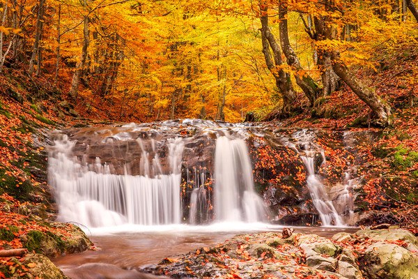 Lovely Autumn Waterfall