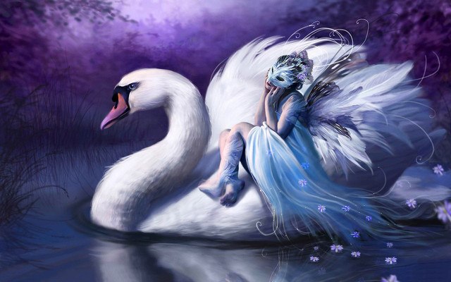 Swan Fantasy