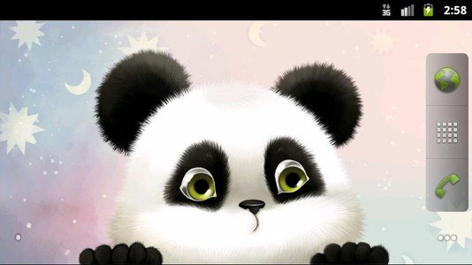 Panda Chub Live Wallpaper