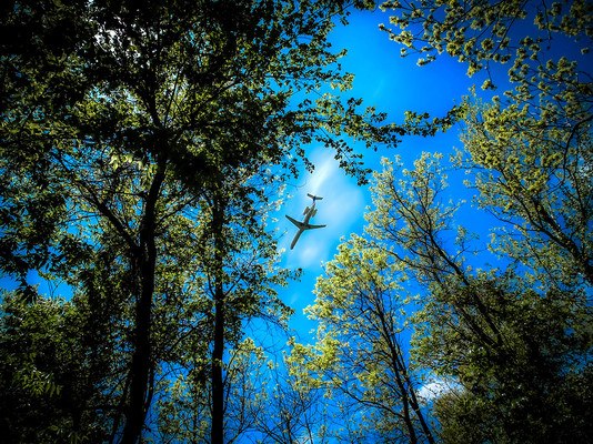 Aircraft Flying Through Trees