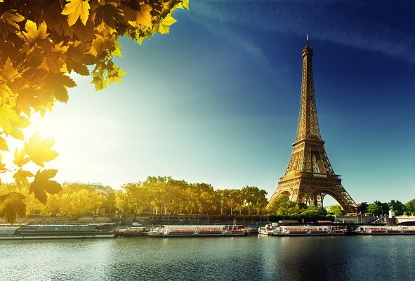 Eiffel Tower In Autumn