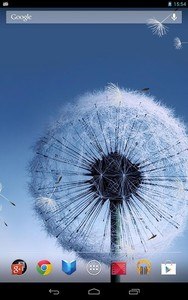 Dandelion Live Wallpaper