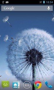 Dandelion Live Wallpaper