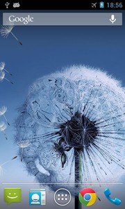 Dandelion Live Wallpaper