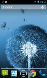 Dandelion Live Wallpaper