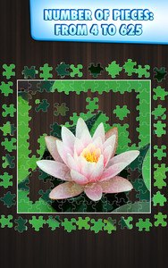 Jigty Jigsaw Puzzles