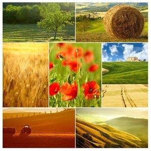 Pic Grid Collage Maker