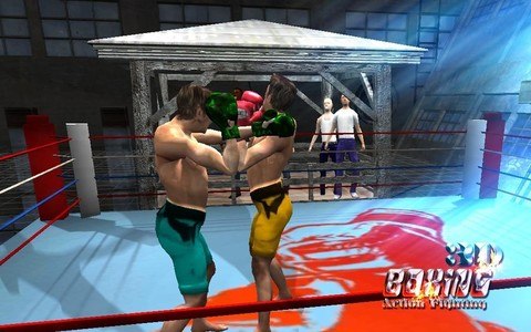 boxing action fighting game