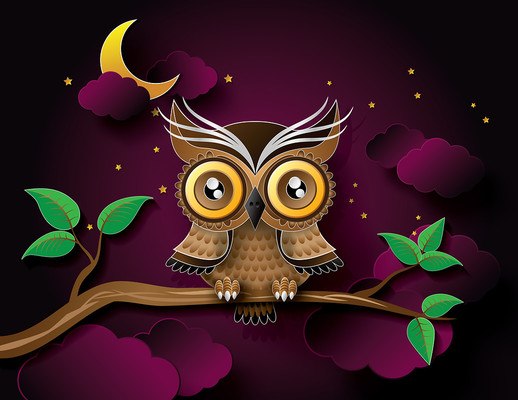 Owl Digital Art