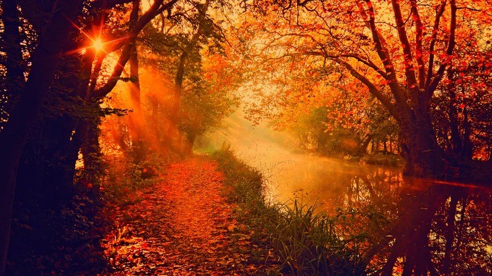 Orange Autumn River