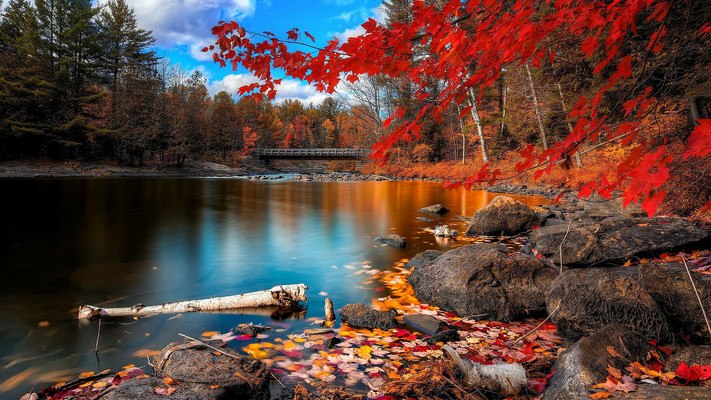Red Autumn River