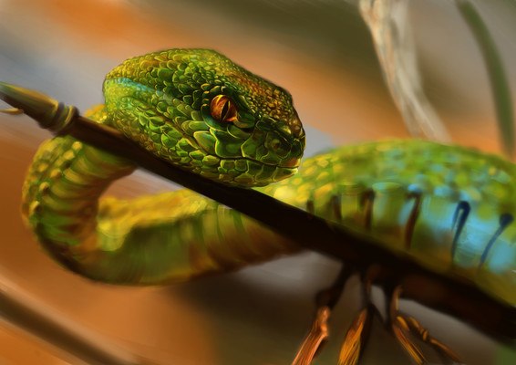 Green Snake Art