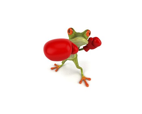 Funny Boxing Frog