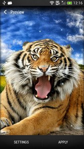 Tigers Live Wallpaper
