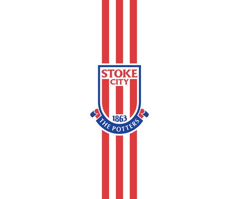Stoke City FC Simple Stripes