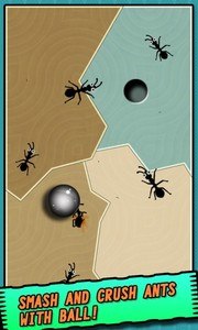 Ant vs Ball