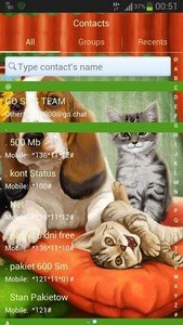 GO SMS Pro Theme Dog Cats