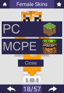 Skins for Minecraft