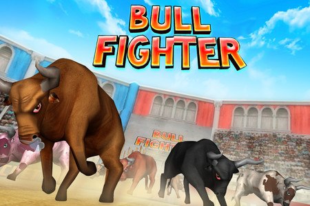 Bull Fighter Champion Matador